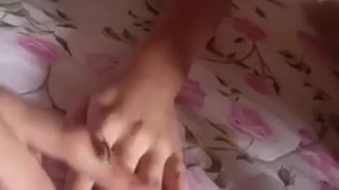 Dog Ate Child's Ladybug in One Bite