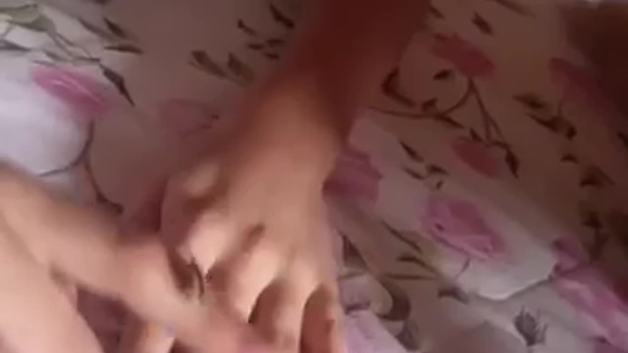 Dog Ate Child's Ladybug in One Bite