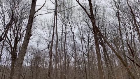 January 2025 birthday hike