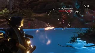 What Did I Just See?
