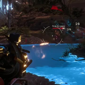 What Did I Just See?