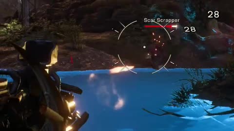 What Did I Just See?