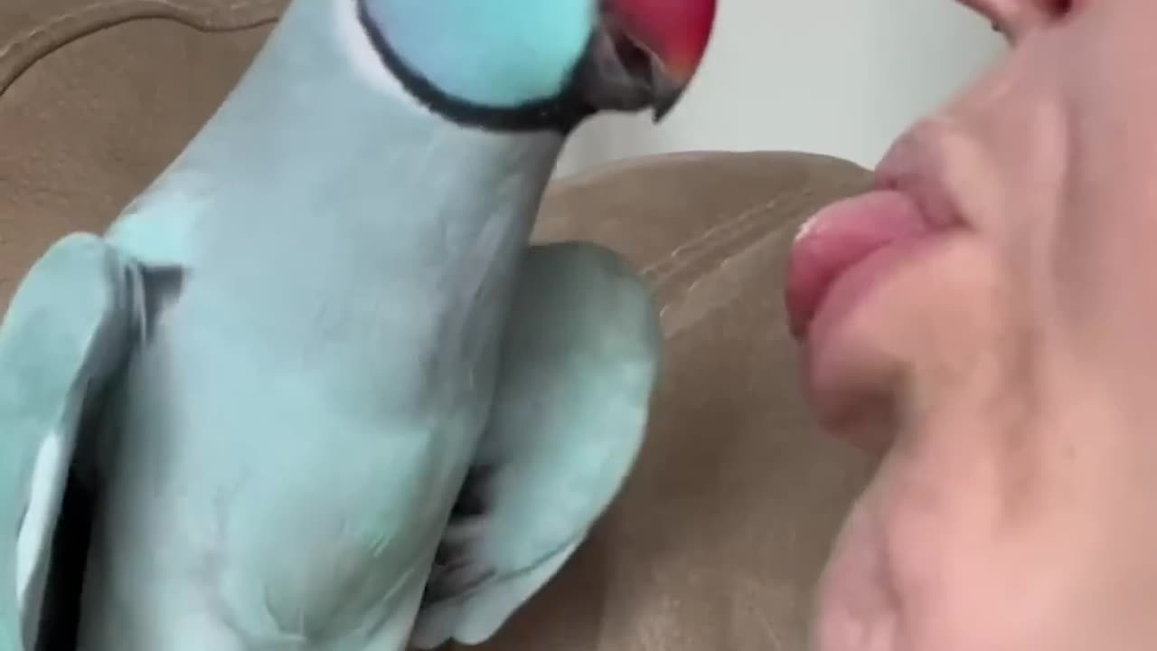 Parrots Saying the Funniest Things 🦜😂