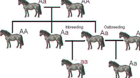 The Rothschild Family’s Darkest Genetic Secret