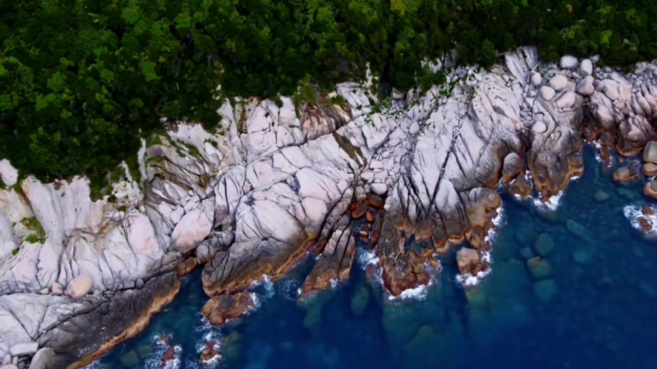 Chill House Lounge for Work & Study