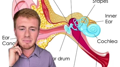 My ears clogged and has pressure , why? Neckwise craniocervical care