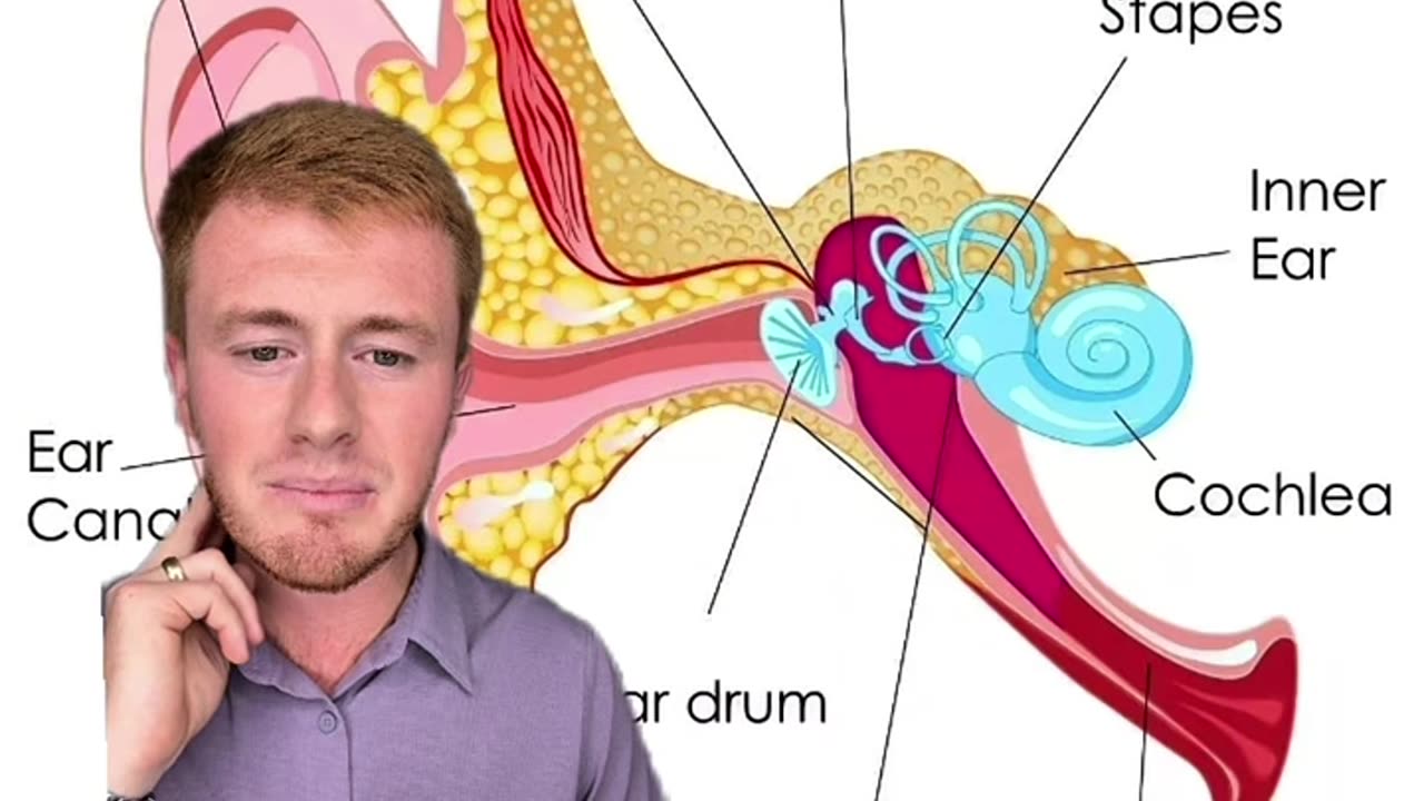 My ears clogged and has pressure , why? Neckwise craniocervical care