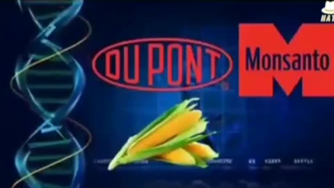 GMO Patented chemical Epicyte is designed to make men and women infertile.