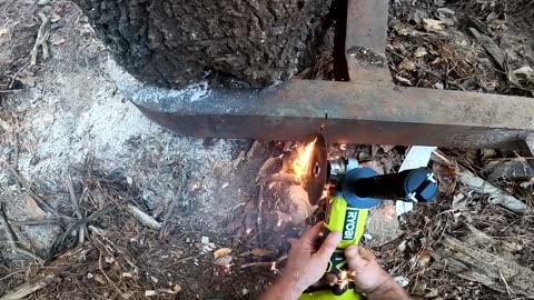 60-Year Abandoned Trucks Buried Alive in Woods – Epic Rescue with Heavy Machinery!