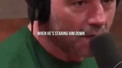 Joe Rogan on Mike Tyson After Prison 😳