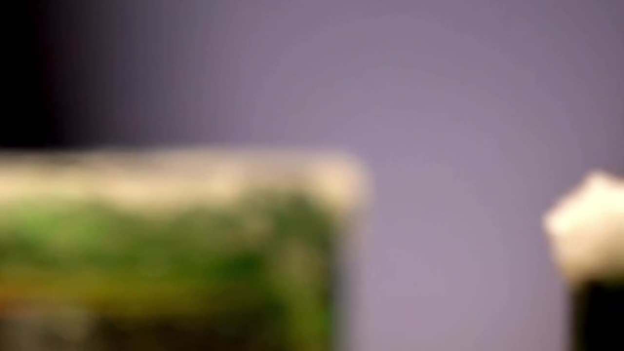Tequila Time: The Ultimate Shot Experience