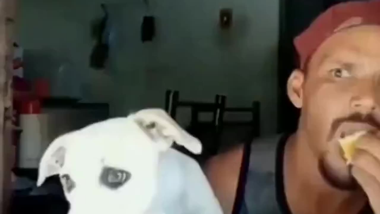 When the neighbors have a fight.. 😂