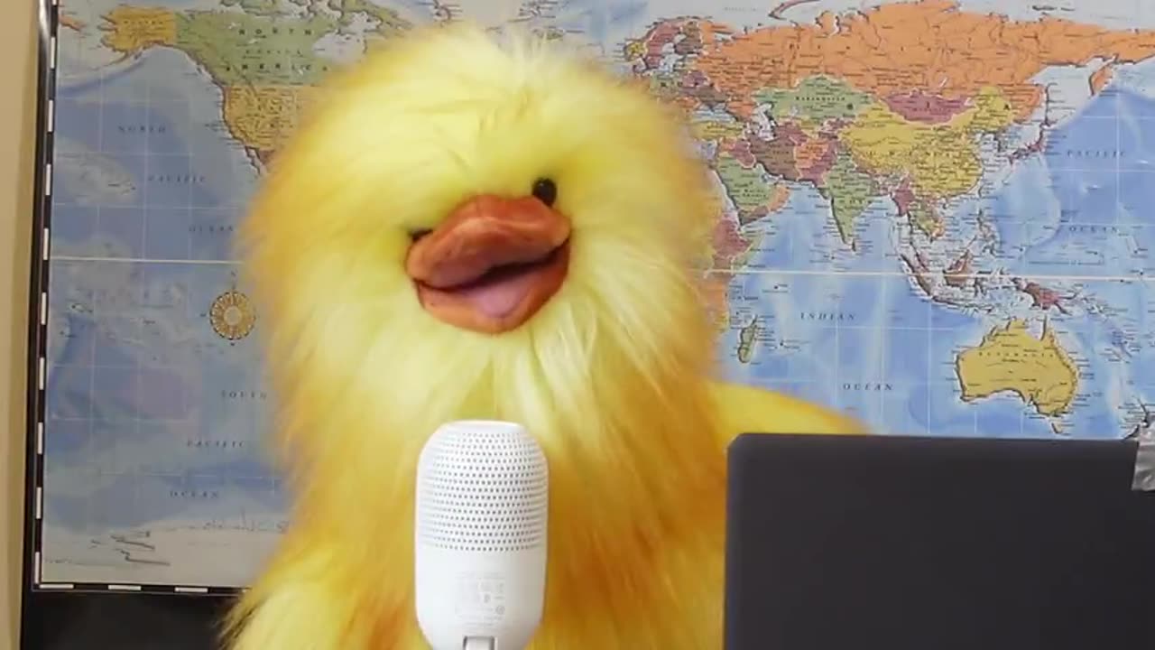 Why The Carney Government is Killing off a Flock of Healthy Birds.