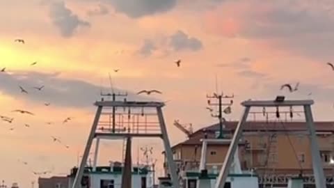 😊 250 EL AMOR ES LA ENERGÍA MÁS PODEROSA PARA MANIFESTAR 😊