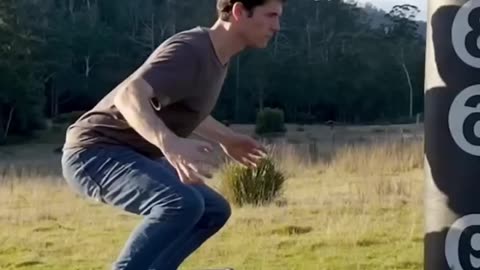 How Different Animals Fight 😂 (with pictures)