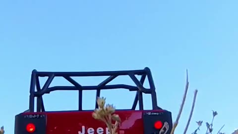 🎄Merry Christmas, my people! 🎁Axial SCX10 III Jeep CJ7 -RC-🔥