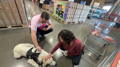 @FlexieFae it was always Fae. https://fansly.com/FlexieFae/