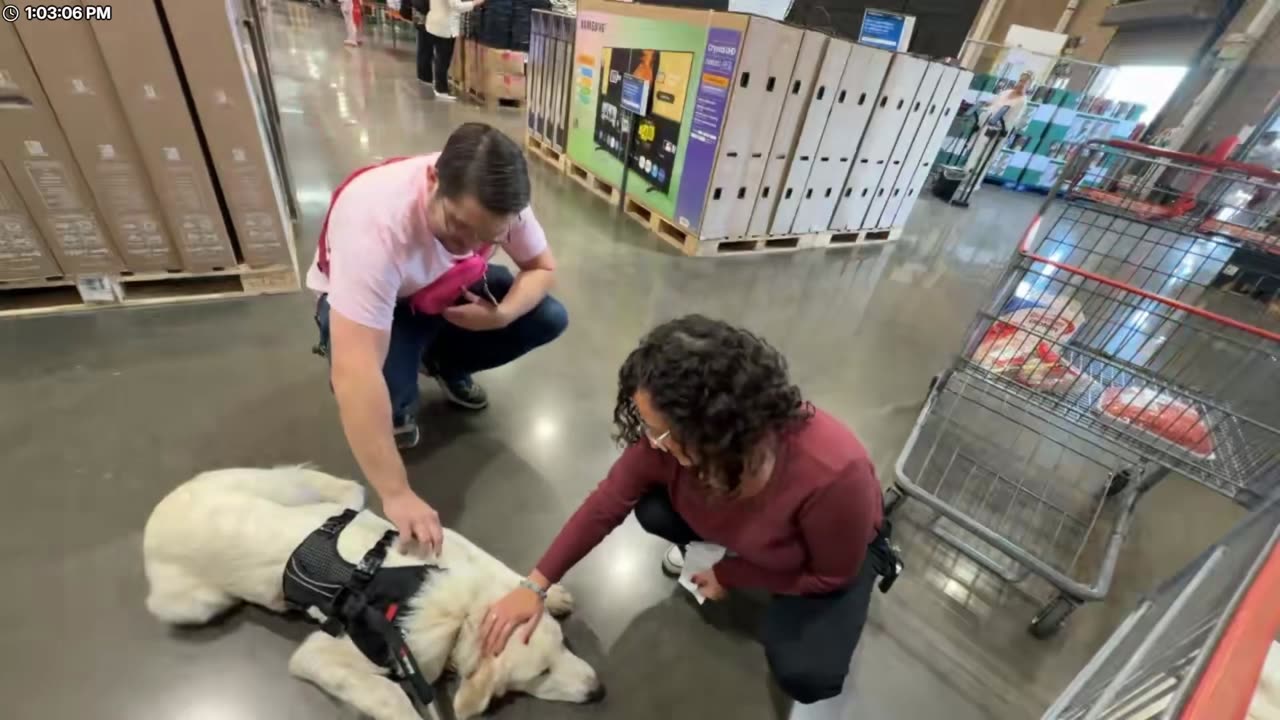 @FlexieFae it was always Fae. https://fansly.com/FlexieFae/