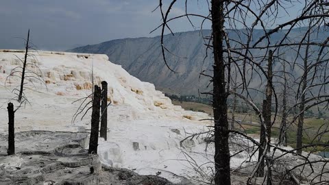 Canary Spring in Yellowstone National Park