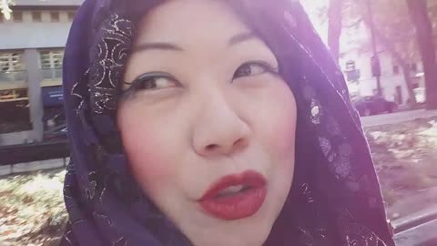 Portugal Diaries kitty #12