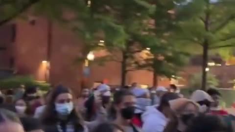 Some American universities look like Islamic caliphates.