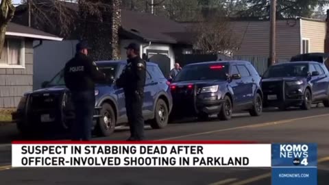 Jihadist in Washington Asks Christian His Religion, Then Stabs Him and His Dog