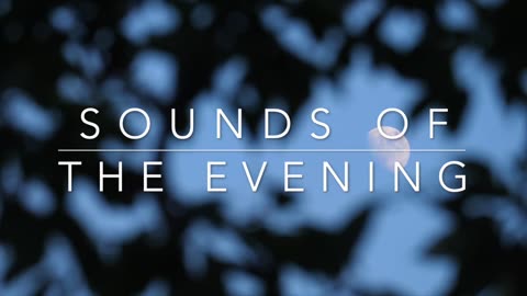 🌙 Sounds of the Evening | 15 Min Night Meditation