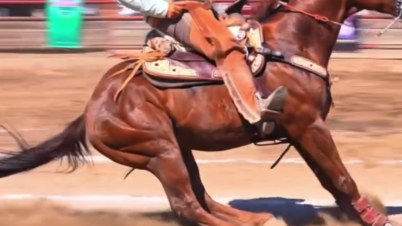 Video 😊😊🔥🔥