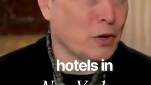 Somali Fraud in Minnesota PROVES Elon Musk Was 100% CORRECT