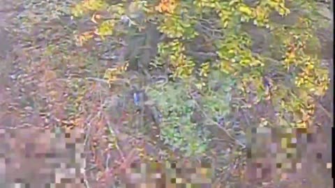 🎯🌳 Ukraine Russia War | FPV Drone Targets Hidden Enemy Infantry Under Tree Cover | RCF