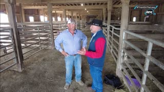 Trent Loos in the Morning - 10/16/2025