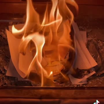 Tim Rifat TikTok Videos