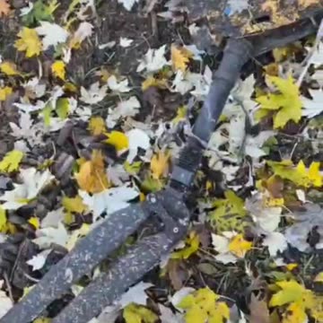 Dry-cured boars from the Pokrovsky direction