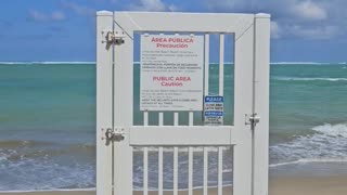 😂 Beach Gate: This Is Why Plans Fail! | FunFM