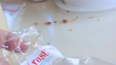 Golden Crust Teaneck Jamaican Sour Rock Cake Taste Test The Fast-Food Restaurant Dessert Review Guys