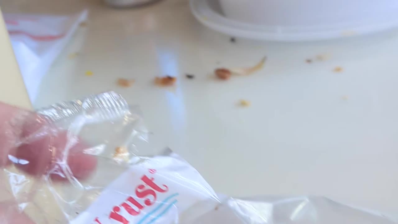 Golden Crust Teaneck Jamaican Sour Rock Cake Taste Test The Fast-Food Restaurant Dessert Review Guys