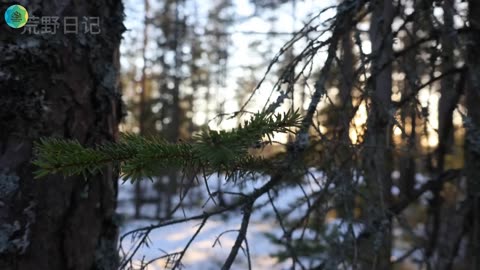 Survival Tool Crafting Workshop