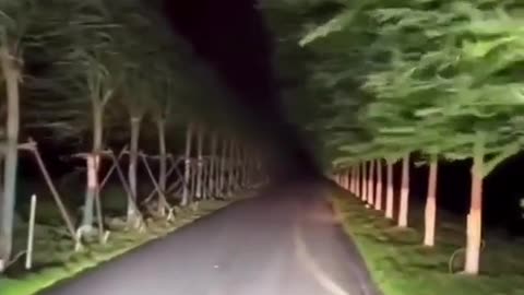 😱🚗 Would You Drive Through This Terrifying Tunnel? | TheHauntingHour
