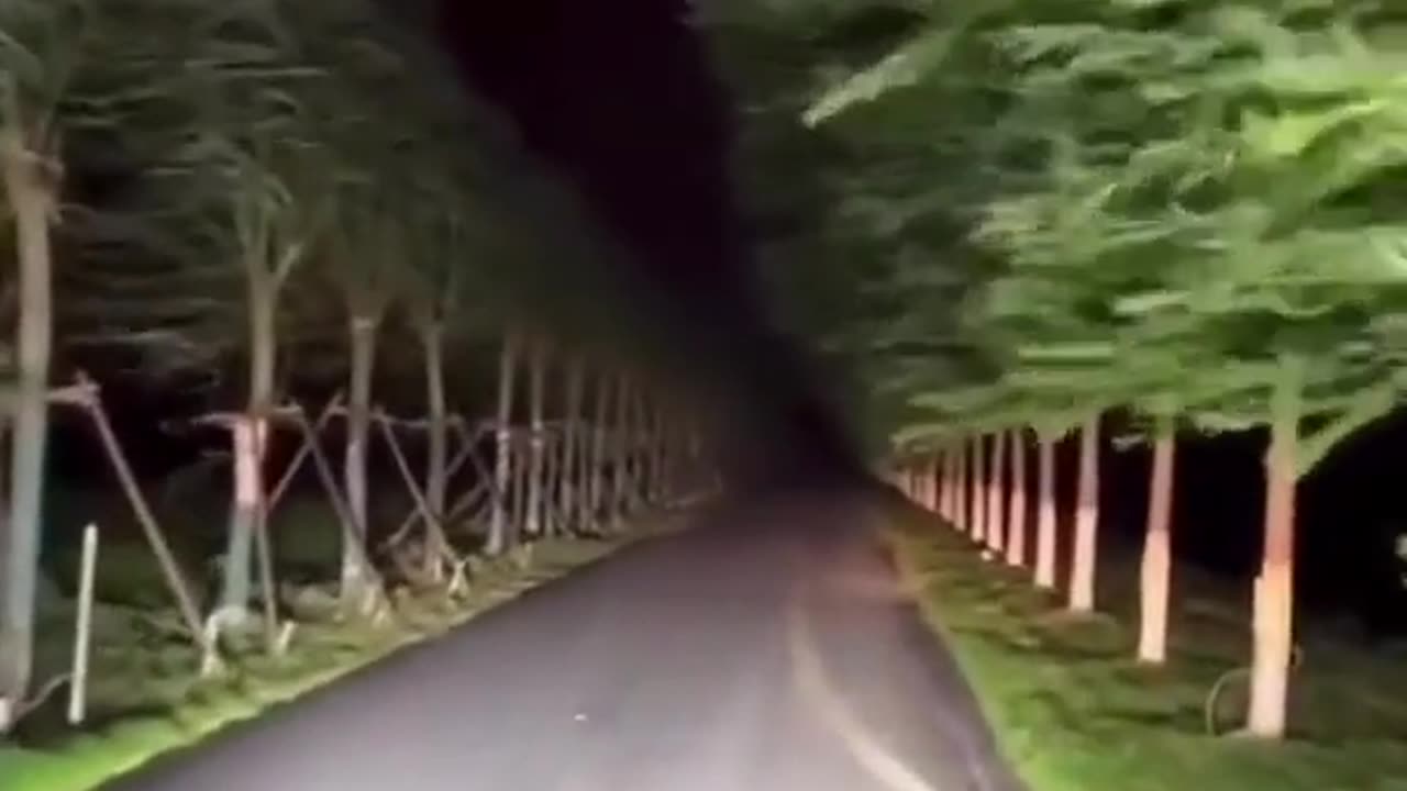 😱🚗 Would You Drive Through This Terrifying Tunnel? | TheHauntingHour