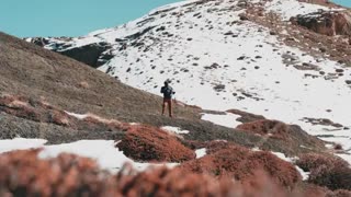 Amazing: Capturing wildlife with the new FE 400–800 mm F6.3–8 G OSS | With Dhrit