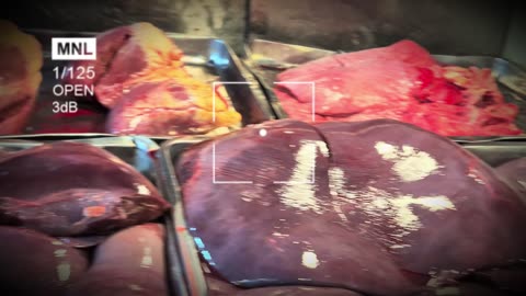 Illegal Market EXPOSED Shocking Footage of Animal Organs for Sale