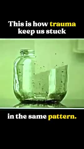 This Is How Generaional Trauma Works