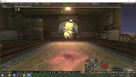 Playing Final Fantasy XI Online