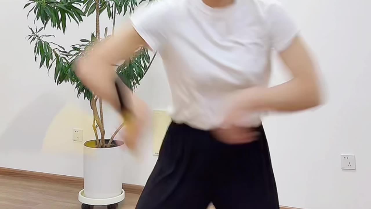 1315.舞動雙截棍