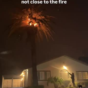 Trees spontaneously combusting miles away from the fire