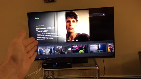 Fixing Flat Screen TV 2 (Hudson Valley, New York)