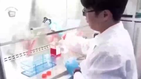 Synthetic people, clones, hybrids, cyborgs, holograms & soulless beings