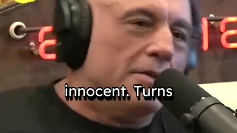 Podcast Mocks Epstein Search Fiasco - Shane Gillis and Joe Rogan