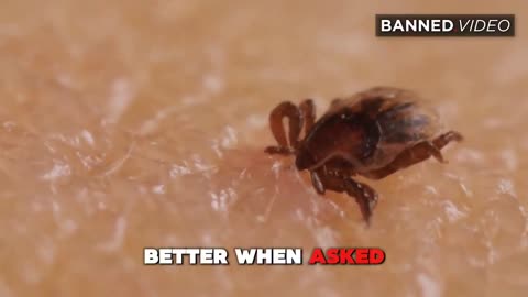 RFK Jr. is correct about Lyme disease being created as a bioweapon in a lab on Plum Is...