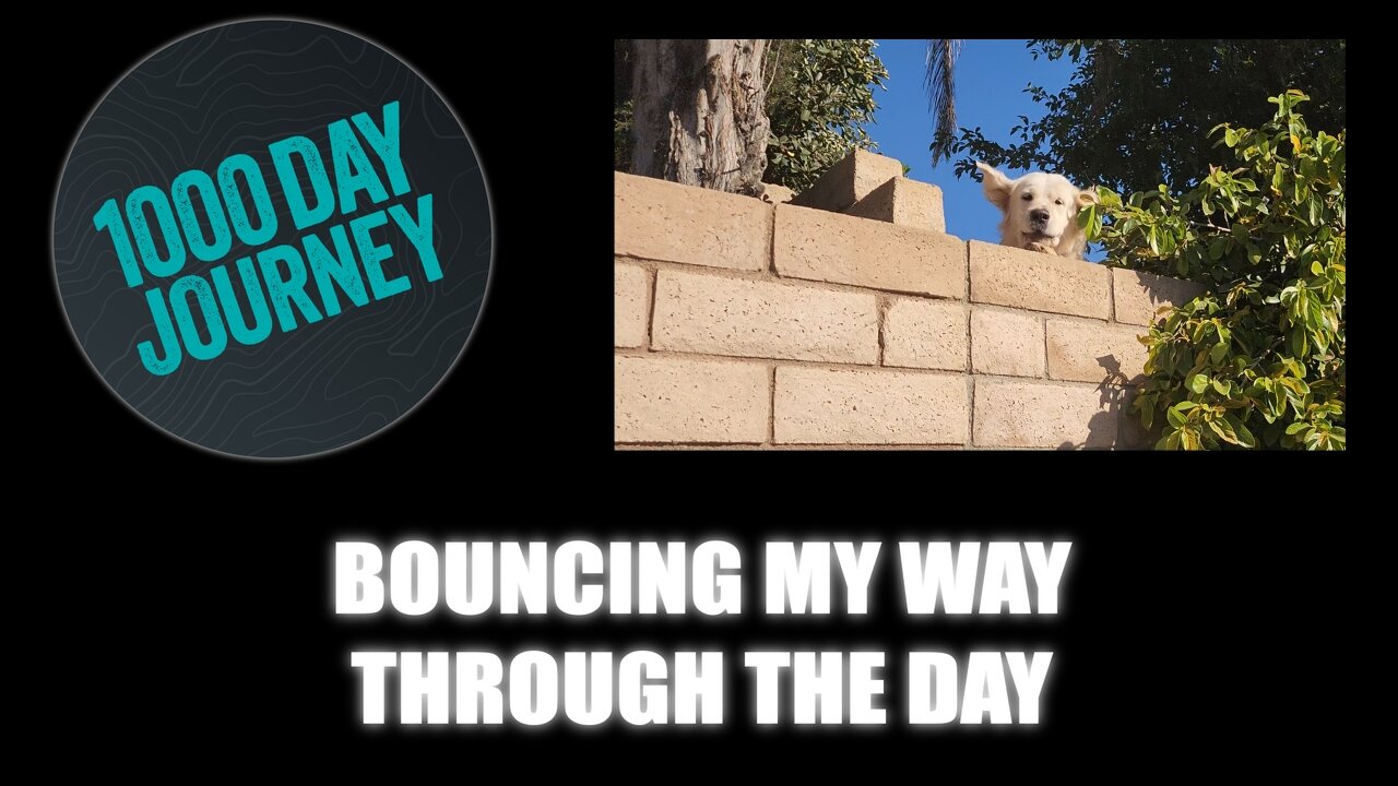 1000 Day Journey 0879 Bouncing My Way Though the Day